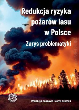 Redukcja ryzyka pożarów lasu w Polsce. Zarys problematyki