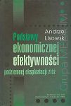 Podstawy ekonomicznej efektywności podziemnej eksploatacji złóż